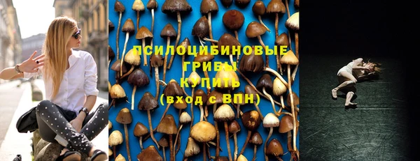 винт Гусев